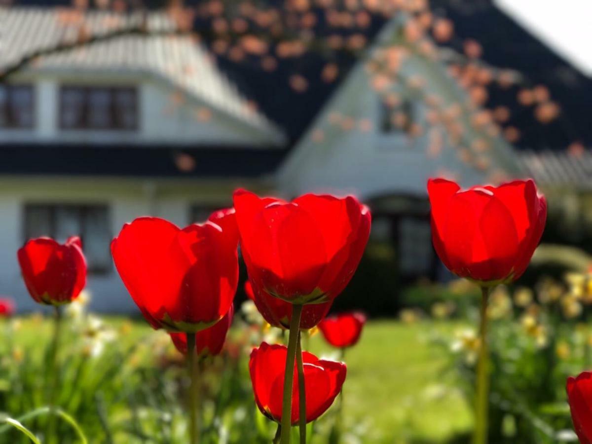 Landhaus Haack Tumlauer Koog Екстериор снимка